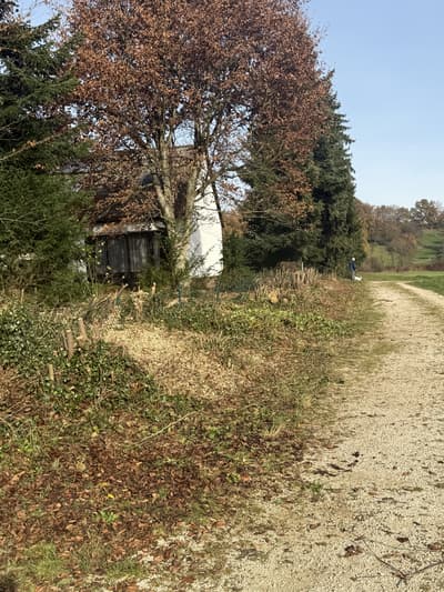 Freigeschnittener Wegrand mit zurückgeschnittener Hecke und Böschung