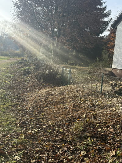 Von Laub und Astwerk geräumte Grundstücksfläche im Herbst