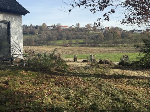 Freigeräumte Grundstücksfläche am Feldrand nach der Rodung